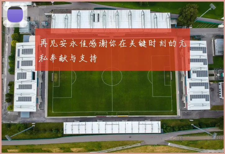 再见安永佳感谢你在关键时刻的无私奉献与支持