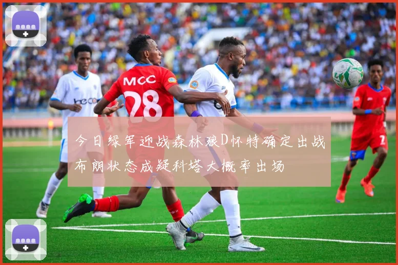 今日绿军迎战森林狼D怀特确定出战布朗状态成疑科塔大概率出场