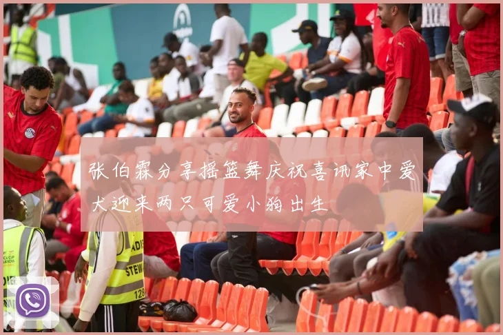 张伯霖分享摇篮舞庆祝喜讯家中爱犬迎来两只可爱小狗出生