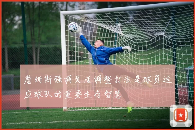 詹姆斯强调灵活调整打法是球员适应球队的重要生存智慧